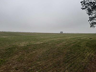 с. Воронков, Вороньков, улица Вороньківська с/р