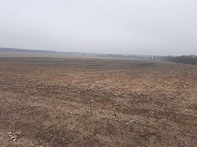 с. Воронков, Вороньков, улица Вороньківська с/р