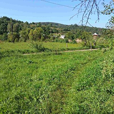 г. Яремче, Олексы Довбуша ул.