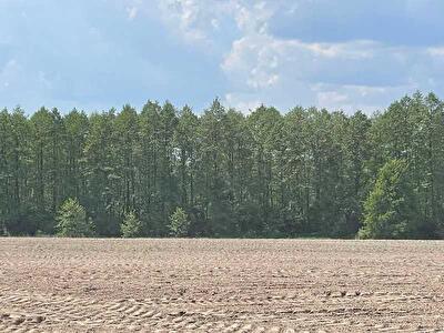 Київська обл., Макарівський район, с. Мар`янівка (2 частина села), Нова