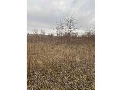 Кропивницький, Гвардійська, 26