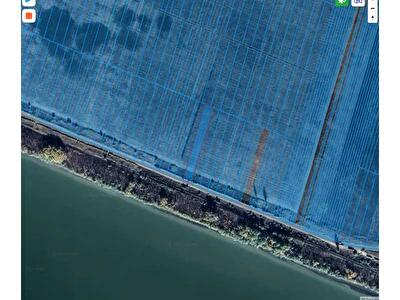 Ренийский район, с. Орловка, Нова