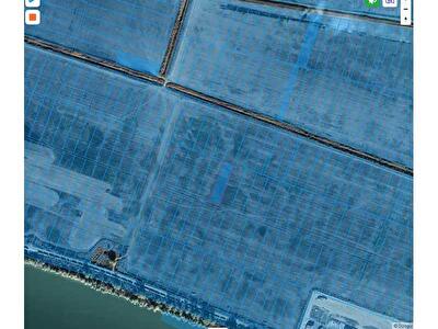 Ренийский район, с. Орловка, Нова