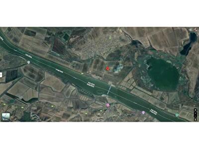 Ренийский район, с. Орловка, Нова