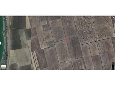 Ренийский район, с. Орловка, Нова