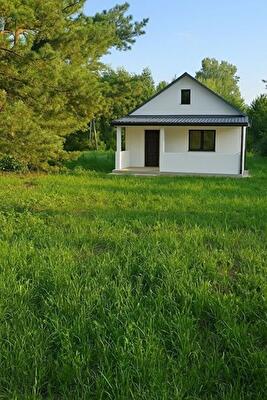 Баришівський район, с. Веселинівка