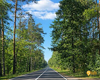 Киево-Святошинский район, с. Лесное