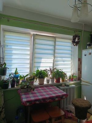 Братиславская ул., 24