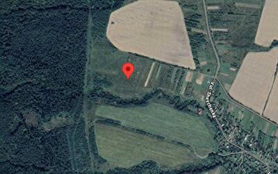 Стрыйский район, с. Любинцы, Зелена