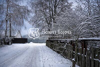 Київська обл., Васильківський район, с. Мархалівка, Польова