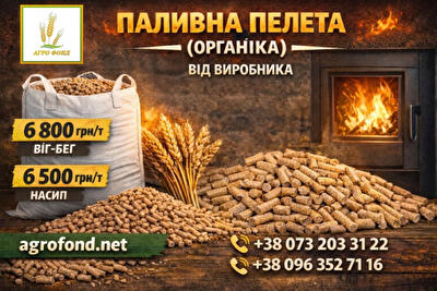 Львівська обл., м. Трускавець, Городище вул.