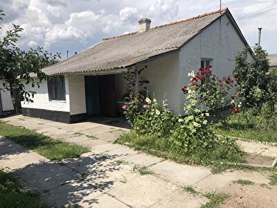 Киевская обл., Белоцерковский район, с. Фурсы