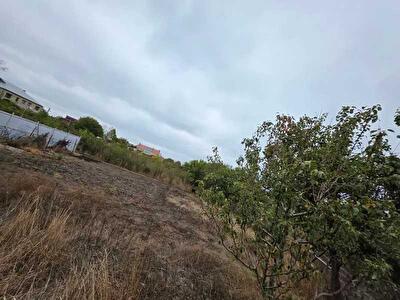 с. Лиманка, Овидиопольская ул., Надії