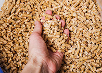 Львівська обл., Бродівський район, с. Пониковиця