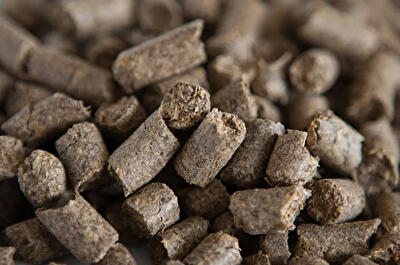 Львівська обл., Бродівський район, с. Пониковиця