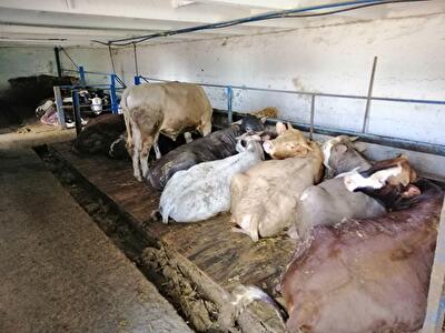 Одесская обл., Ширяевский район, пгт Ширяево