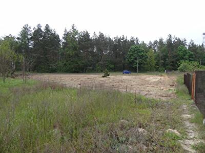 с. Торфяное, Лісова