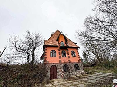 Киевская обл., Киево-Святошинский район, с. Горбовичи, Вишнева, 51