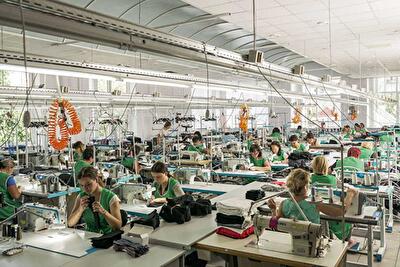 Киевская обл., Белоцерковский район, г. Белая Церковь, Александрийский бул.