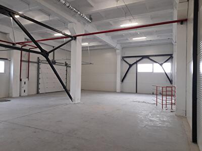 Киевская обл., Бучанский район, г. Буча, Депутатская ул.