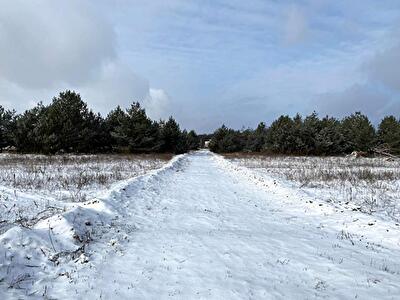 Макарівський район, с. Северинівка
