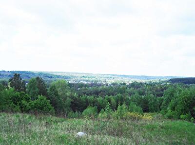 Київська обл., Васильківський район, м. Васильків, Винниченко