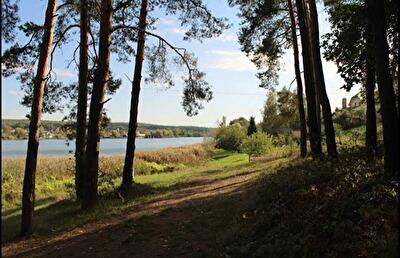 Київська обл., Києво-Святошинський район, с. Віта-Поштова, Гоголя вул.