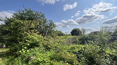 Львівська обл., Пустомитівський район, с. Жирівка, Кишова