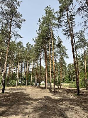Днепропетровская обл., Новомосковский район, с. Песчанка, Садовая ул.