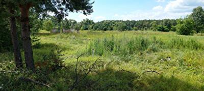 Чернігівська обл., Козелецький район, м. Остер, Одинця