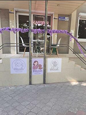 Одесская обл., г. Черноморск, Ильичевская ул., Данченка, 4/3Н