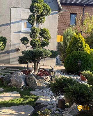 Київ, Підлипка вул.