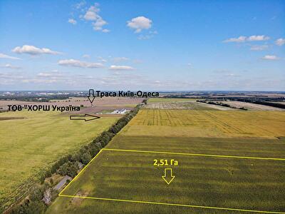 Васильківський район, с. Велика Солтанівка, Центральна