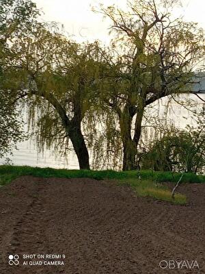 Синельниковский район, с. Диброва