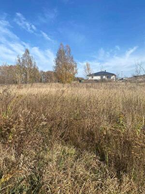 Іванківський район, с. Кропивня