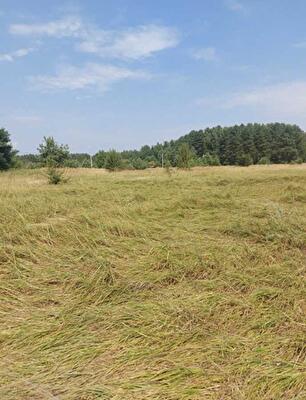 с. Ясногородка, Польова