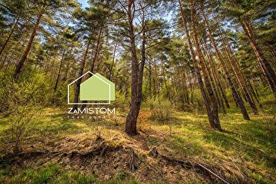 Бориспольский район, с. Гнедин