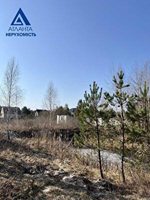 Киверцовский район, с. Озерцо, Лісова