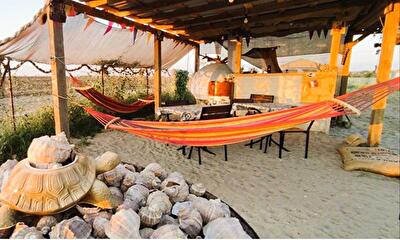 Одесская обл., Белгород-Днестровский район, с. Николаевка, Чорноморська