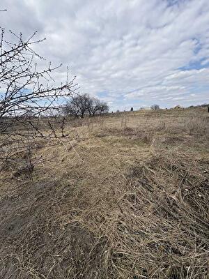 Черниговская обл., Черниговский район, с. Киенка
