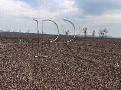 Киевская обл., Бориспольский район, г. Борисполь, Украина 08350