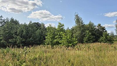 Києво-Святошинський район, с. Музичі, Степова