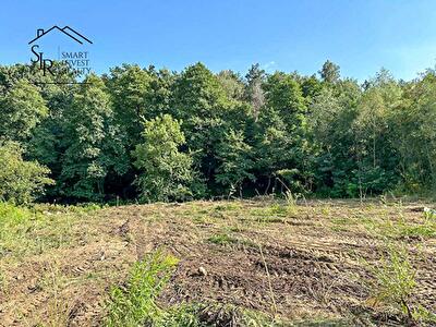 с. Хотов, Пироговская ул.