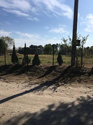 Белогорский район, с. Лепесовка, Знлена 40