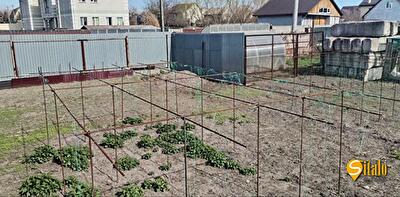 Обуховский район, пгт Козин