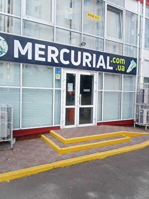 Київ, Олександра Мішуги вул., 10