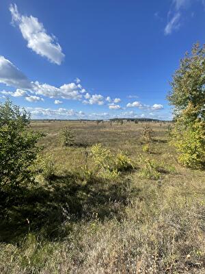 Вышгородский район, с. Сувид