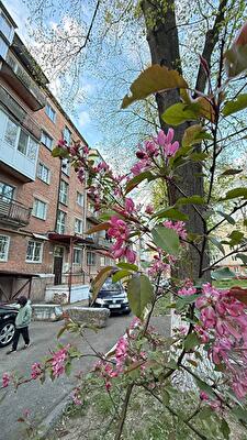 Ровно, Генерала Безручко ул., 12