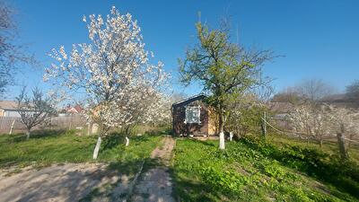 Бориспільський район, с. Гора, Покровська вул.