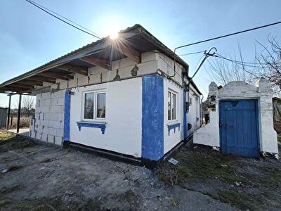 Киевская обл., Белоцерковский район, с. Черкас, Квітуча, 37